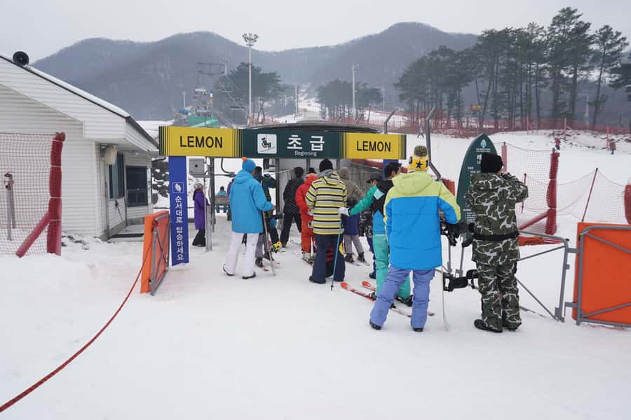 Jisan Forest Resort: Ski Full-Day Tour or Shuttle from Seoul - Key points before you go
