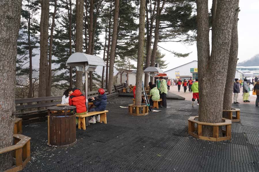 Jisan Forest Resort: Ski Full-Day Tour or Shuttle from Seoul - Dress code and safety basics you should not ignore