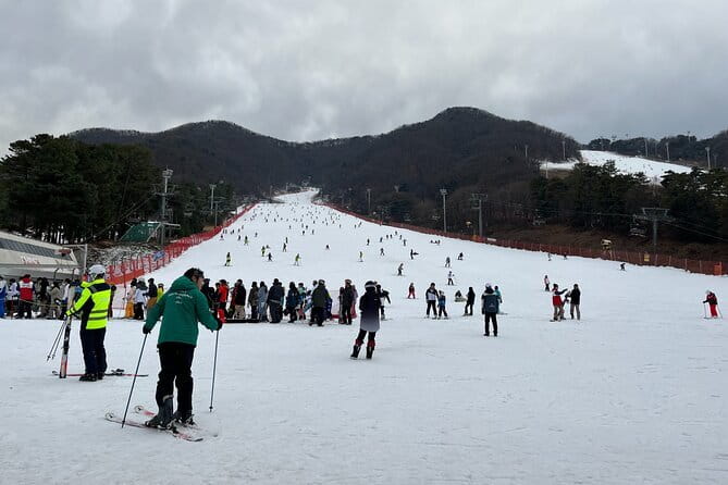 Jisan Forest Ski Resort and Everland 1 Day Tour - What Everland feels like after the cold: 5 hours you can actually use