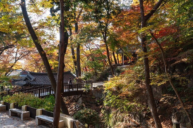 Jisan Forest Ski Resort and Everland 1 Day Tour - Who should book this Jisan and Everland combo