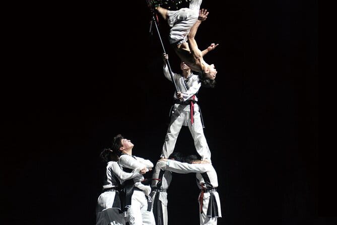 K-Kick Taekwondo Show Ticket at Seoul - Key highlights before you go