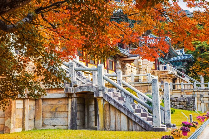 Korail Day Trip to Gyeongju's Unesco World Heritage Sites from Seoul - Gyeongju National Museum: use the free context to make the outdoor stops stick
