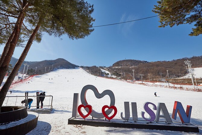 Korea Ski Tour from Seoul - Jisan Resort with Isaac Toast - Key Things You’ll Notice on This Seoul to Jisan Ski Tour