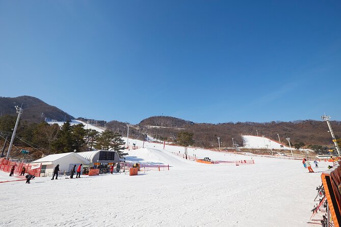 Korea Ski Tour from Seoul - Jisan Resort with Isaac Toast - The 120-Minute Beginner Ski Lesson, What You Should Expect