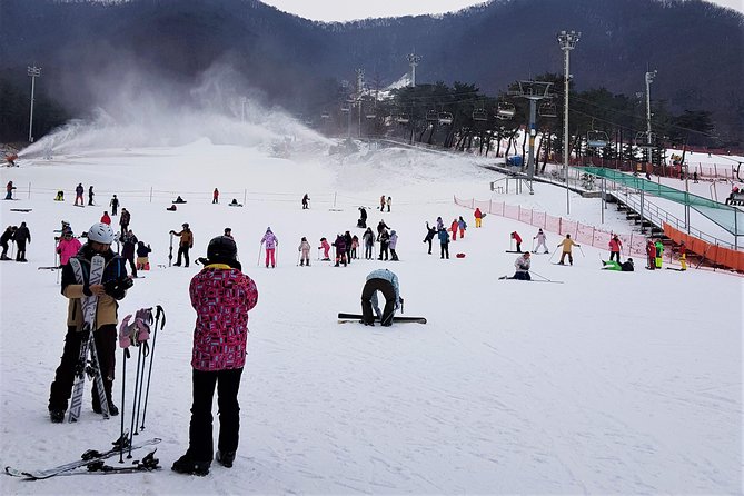 Korea Ski Tour from Seoul - Jisan Resort with Isaac Toast - Gear, Rentals, and the Real Cost of Being Comfortable