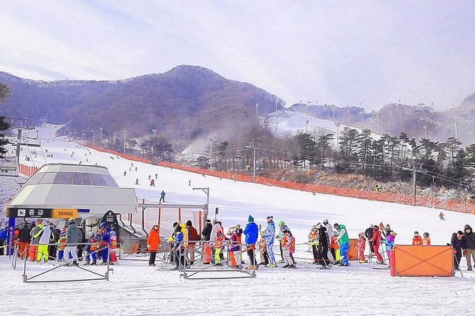 Korea Ski Tour from Seoul - Jisan Resort with Isaac Toast - Price and Value: Is $19.95 Actually a Good Deal?