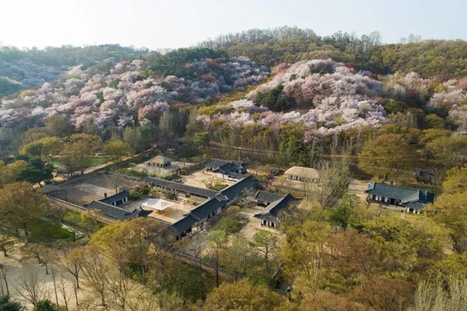 Korean Folk Village Afternoon Half day Tour - Ordinary People’s Homes and the Everyday-Life Focus
