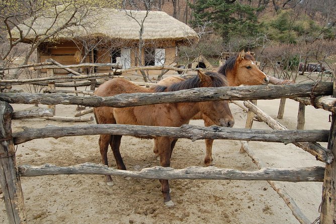 Korean Folk Village Afternoon Tour from Seoul - Food, breaks, and keeping your afternoon comfortable