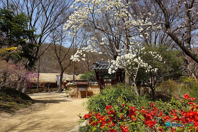 Korean Folk Village Half-day Guided Tour from Seoul - Guides and the Pace: The Difference Between a Visit and a Lesson