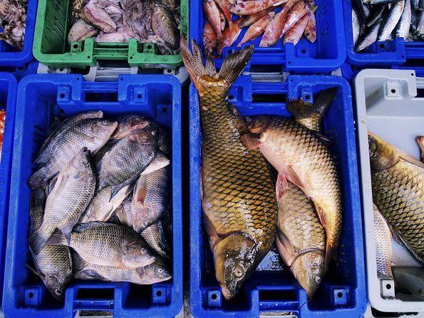 Korean Market Adventure with Chef Yie - Noryangjin Fish market - From Wholesale Aisles to Your Table: How the Market Meal Works
