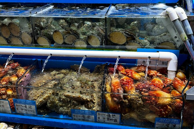 Korean Market Adventure with Chef Yie - Noryangjin Fish market - Price and Value: Why $150 Makes Sense for This Kind of Food Tour