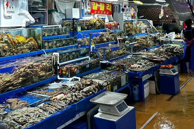 Korean Market Adventure with Chef Yie - Noryangjin Fish market - Chef Yie’s Market Guidance: Freshness Tips You Can Use Immediately