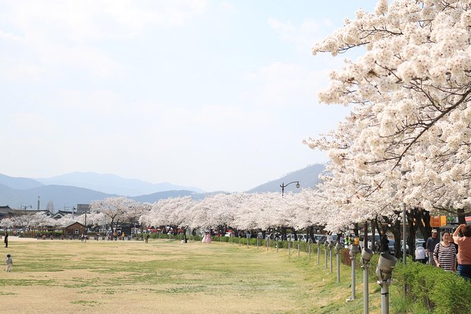 Korean UNESCO World Heritage Tour including Gyeongju, Andong and Daegu(2N3D) - Haeinsa Temple on Gaya Mountain: where the Tripitaka story becomes tangible