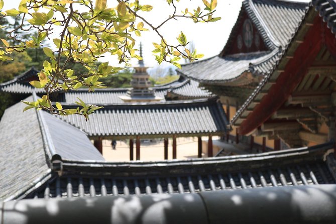Korean UNESCO World Heritage Tour including Gyeongju, Andong and Daegu(2N3D) - Price and logistics: is $988.49 worth it?