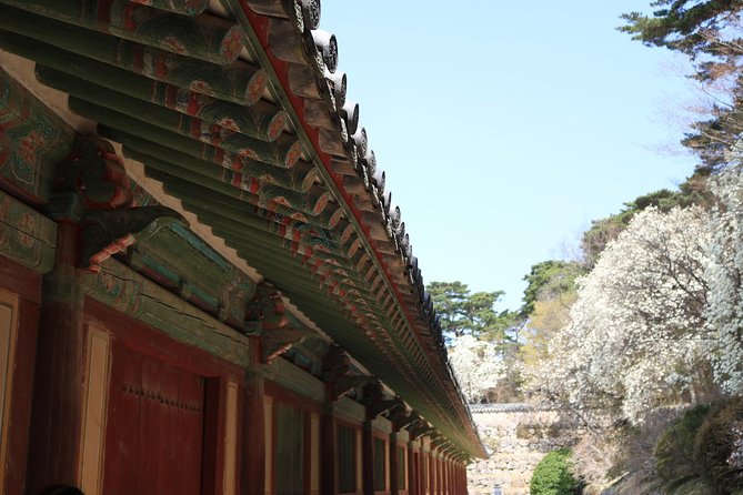 Korean UNESCO World Heritage Tour including Gyeongju, Andong and Daegu(2N3D) - Timing, comfort, and food planning (so the day does not feel rushed)