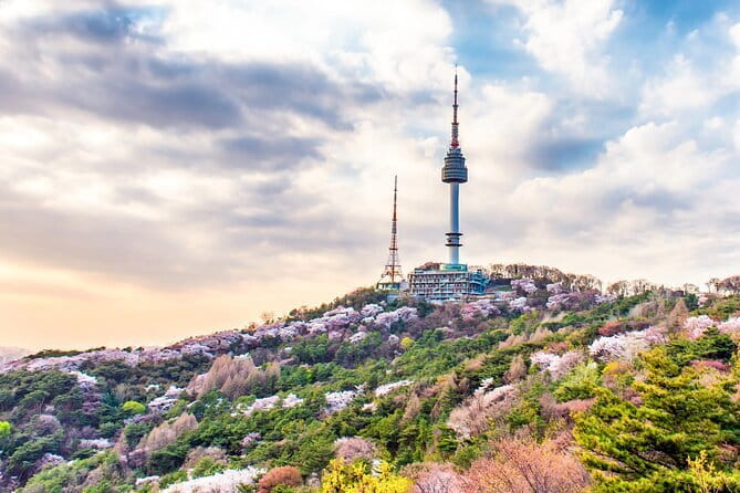 Lee’s Private 4-hour Customized Seoul Tour - Buddhist temples: Jogye-sa and the pause a city needs