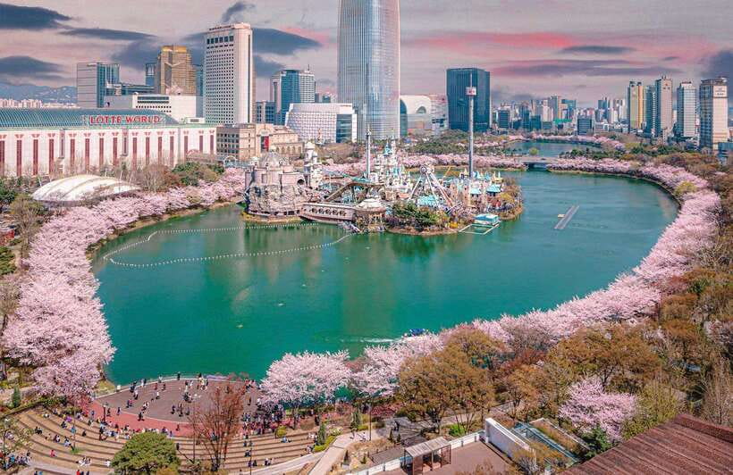 Lotte World Seoul Entry Ticket - Price and Value of a 1-Day Entry Ticket