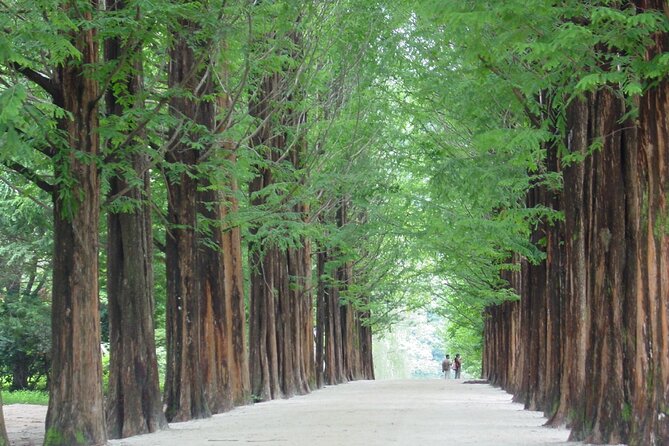 Mount Seorak and Nami Island One Day Tour from Seoul - Seoraksan National Park: Your Three Hours for Peaks, Views, and Smart Trail Picks
