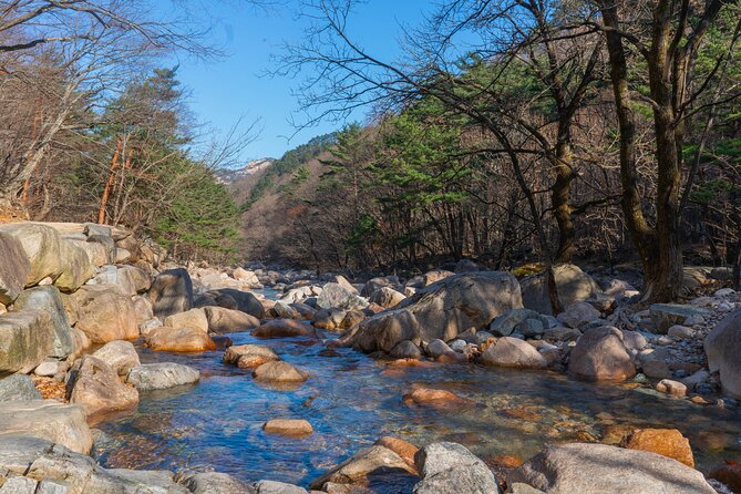 Mount Seorak and Nami Island One Day Tour from Seoul - Value for Money: Why the $80.95 Price Can Make Sense