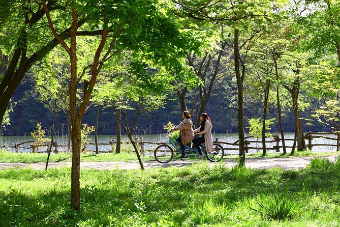 Mount Seorak and Nami Island One Day Tour from Seoul - Who This Tour Fits Best (and Who Should Choose Another Option)