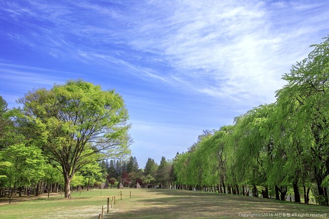 Mount Seorak and Nami Island One Day Tour from Seoul - Practical Tips So Your Day Feels Smooth