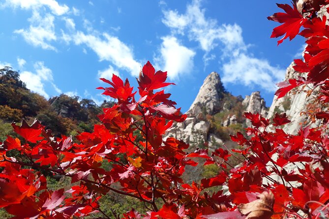 Mt. Seorak+Nami Island+Garden of Morning Calm Day Trip from Seoul - A 14-hour nature reset from Seoul: what this day trip really covers