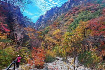 Mt. Seorak+Nami Island+Garden of Morning Calm Day Trip from Seoul