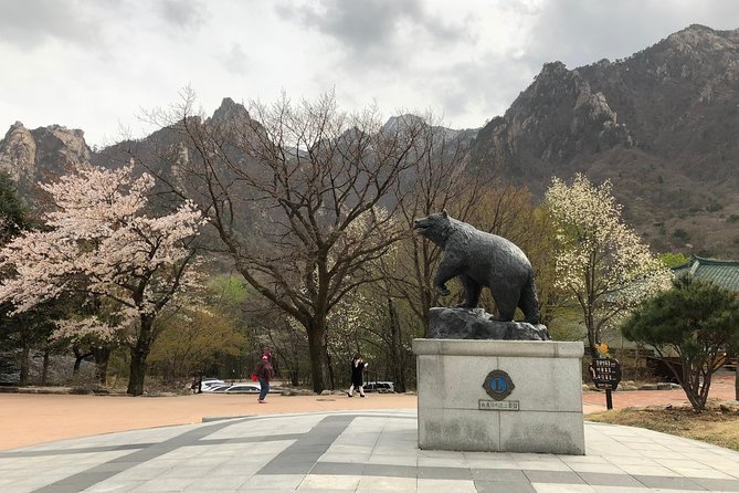 Mt. Seorak+Nami Island+Garden of Morning Calm Day Trip from Seoul - Nami Island by ferry: ginkgo and cherry paths, plus the crowd reality