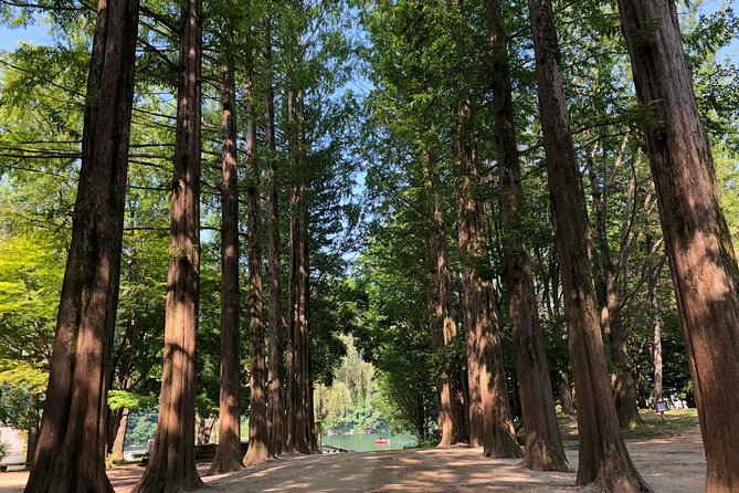 Mt. Seorak+Nami Island+Garden of Morning Calm Day Trip from Seoul - Garden of Morning Calm: a short, peaceful finale with limited time