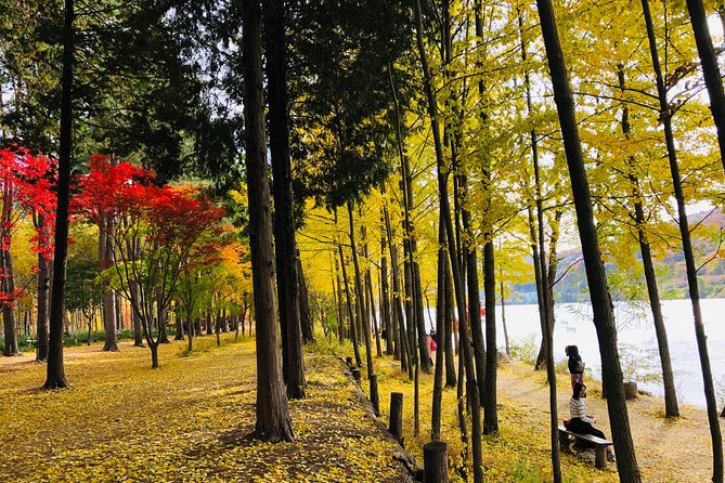 Mt. Seorak+Nami Island+Garden of Morning Calm Day Trip from Seoul - Guide style matters: pacing, safety, and route planning from Patrick, Andrew, Eric Kim, Ki, and CJ