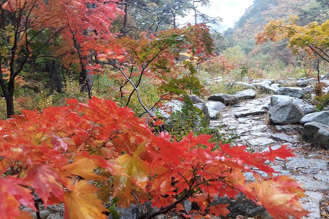 Mt. Seorak+Nami Island+Garden of Morning Calm Day Trip from Seoul - Timing tips so you do not feel rushed (or stuck in the wrong mood)
