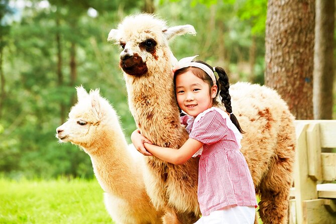 Nami+Alpaca+Garden of Morning Calm (+Rail Bike Option) - The logistics that save you stress: meeting points, drop-offs, and luggage