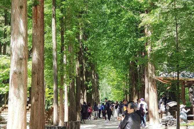 Nami Island and Petite France - Filming location - Key Things to Know Before You Go