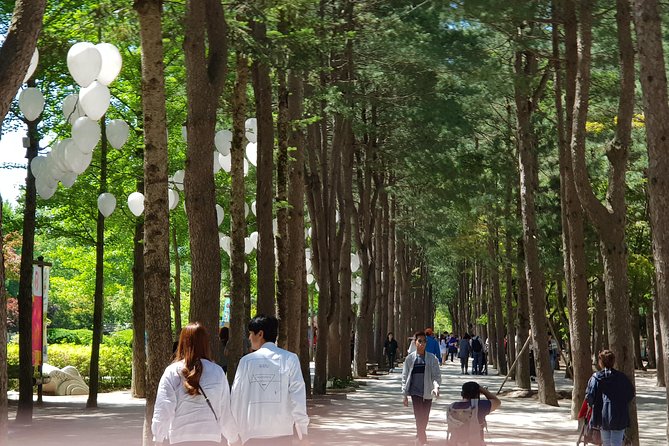Nami Island and Petite France - Filming location - Why Nami Island and Petite France Feel Like a Movie Set