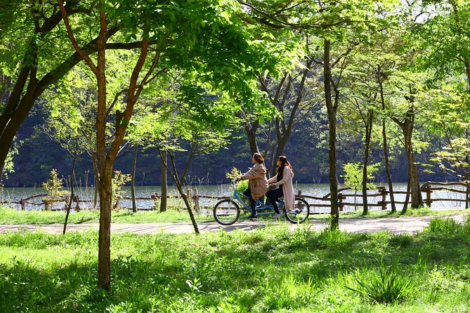 Nami Island and Petite France & Italian Village Day Trip from Seoul - Italia Village Pinocchio and Da Vinci: a thematic detour with a real brand link