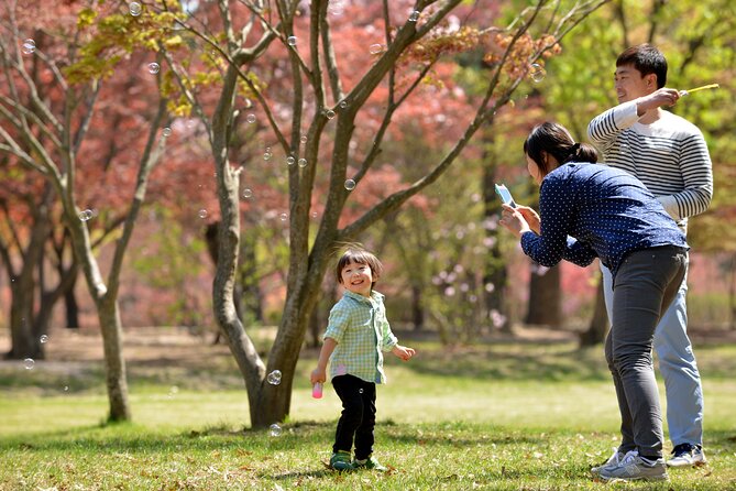 Nami Island and Petite France & Italian Village Day Trip from Seoul - Who should book this day trip, and who might not love it