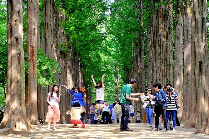 Nami Island, Cable Car, Garden of Morning Calm Panoramic Tour - A Full-Day Korea Hit: Island Drama, Garden Walks, and Mountain Views