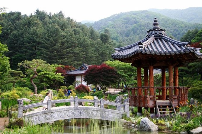 Nami Island, Cable Car, Garden of Morning Calm Panoramic Tour - Nami Island: Winter Sonata fame, tree-lined atmosphere, and how to avoid crowd stress