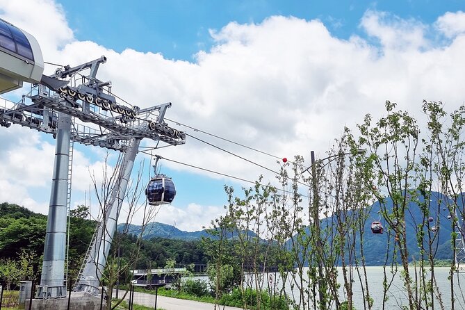 Nami Island, Cable Car, Garden of Morning Calm Panoramic Tour - Who this tour suits best, and who should skip it