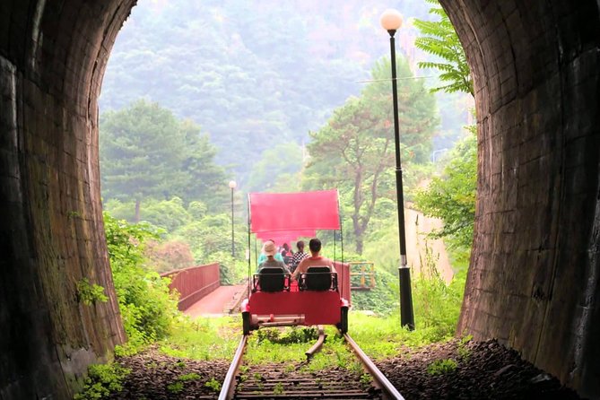 Nami Island & Garden of Morning Calm & Gangchon Railbike Tour - Stop 1 at the Garden of Morning Calm: your winter lighting priority