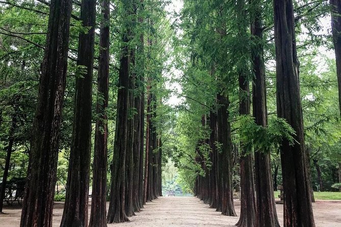 Nami Island & Nearby Attractions : Charter Van Tour With Driver - Gangchon Rail Park: Tunnel Rail Bikes With the Bukhan River Scenery