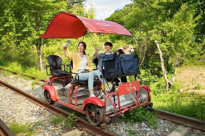 Nami Island & Petite France & Italian Village & Gangchon Rail Bike One-Day Tour - How to Make This Day Feel Less Rushed (and More Fun)