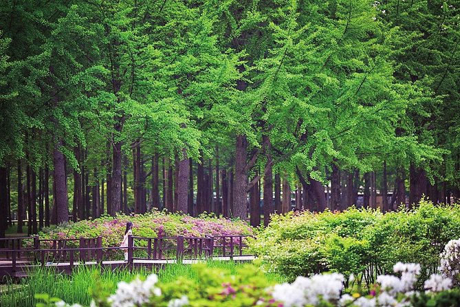 Nami Island & Petite France with Italian Village One-Day Tour - Nami Island: tree-lined roads, Winter Sonata fame, and seasonal magic