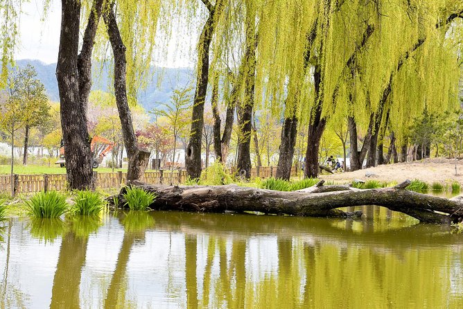 Nami Island & Petite France with Italian Village One-Day Tour - Petite France plus Italian Village: French facades, drama filming energy