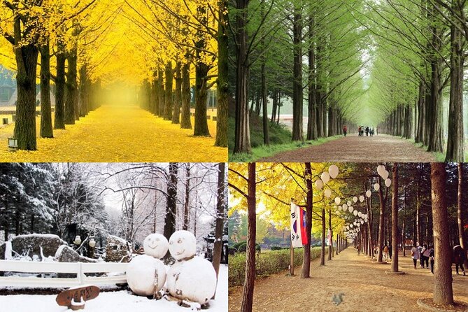 Nami Island & Petite France with Italian Village One-Day Tour - Getting out of Seoul: Hongik Univ Station and the ride style