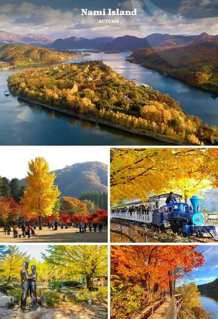 Nami Island, Railbike & Alpaca Garden Day Trip from Seoul - The Stay Healing Park Autumn Light Festival: what the night add-on changes
