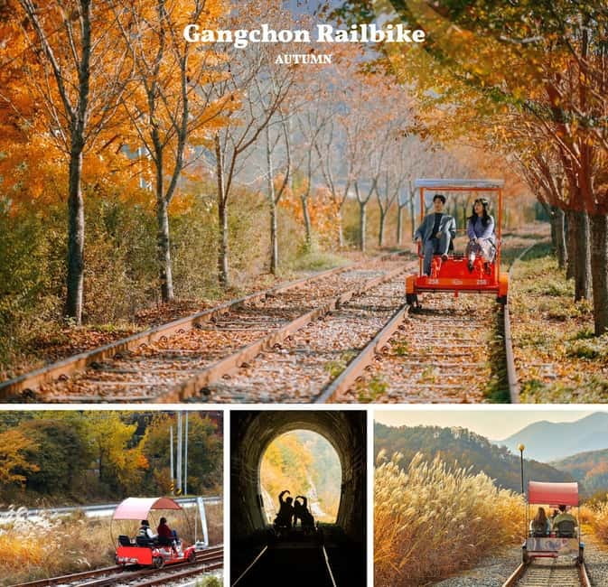 Nami Island, Railbike & Alpaca Garden Day Trip from Seoul - Nami Island in autumn: fall walks, lakeside views, and Winter Sonata nostalgia