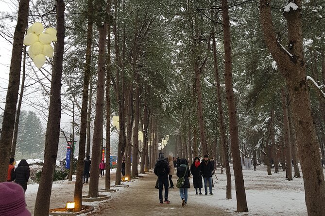 Nami Island + Ski Tour - Gear, Clothing, and the Waterproof Reality Check