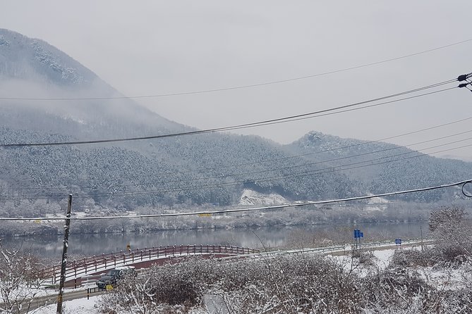 Nami Island + Ski Tour - Nami Island: One Hour That Can Actually Feel Like Enough