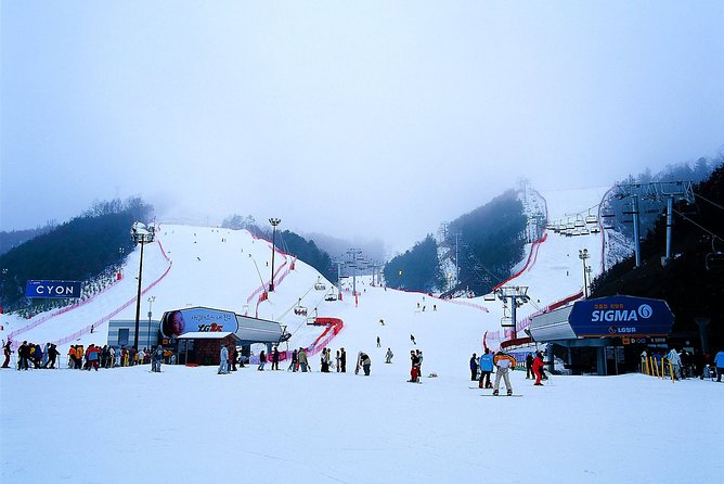 Nami Island + Ski Tour - Elysian Gangchon Ski Resort: Pick Your Winter Mode